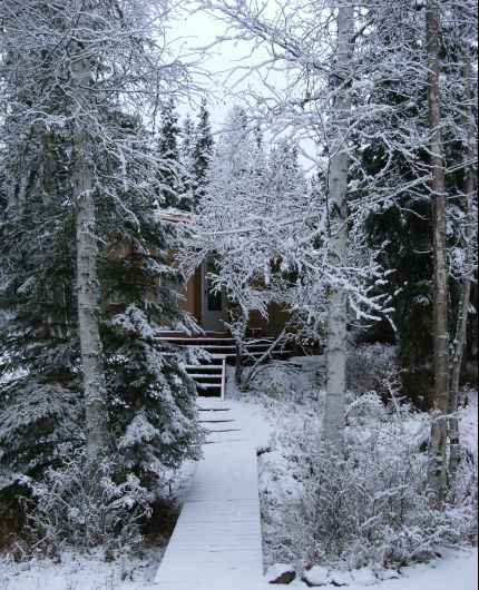 Little cabin in snow